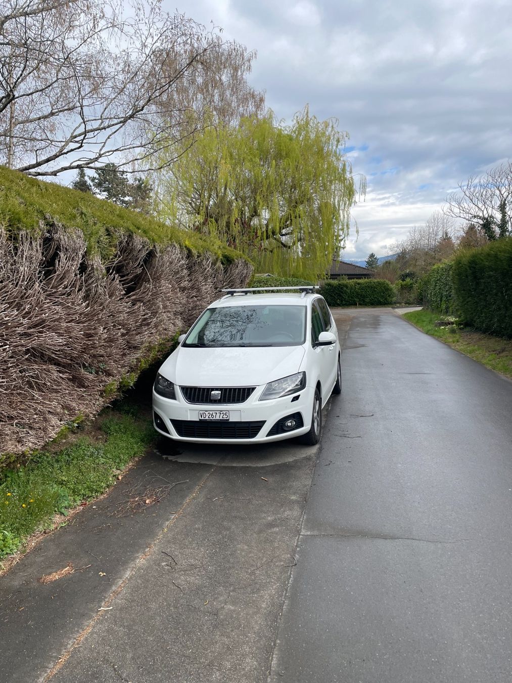 Seat Automobili: Seat Alhambra 2.0 TDI 4Drive – Usato da Commugny venduto da din_cxk5