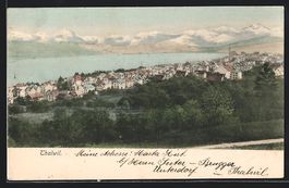 AK Thalwil, Teilansicht mit Bergen, 1908