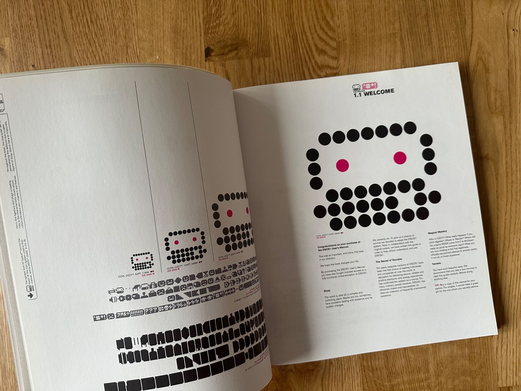Livres: DSOS1: The User‘s Manual, Designershock, Typography – Neuf (Voir description) à Rümlang par Laufgitter01 3