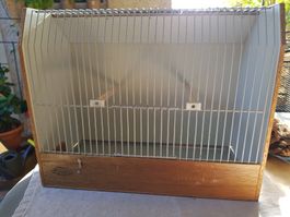 Vogeltransport und Ausstellungsboxen