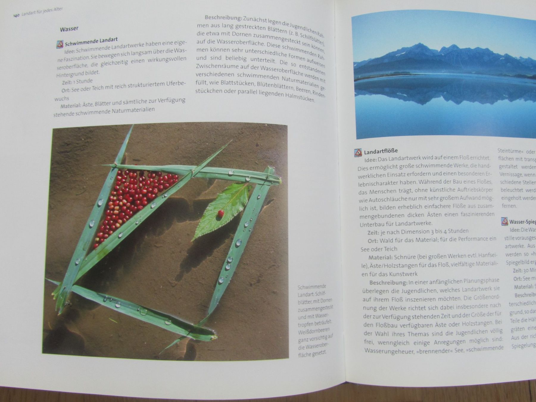 Libri: Naturwerkstatt Landart – Usato da Seengen venduto da mikelele 6