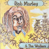 BOB MARLEY & THE WAILERS  -  Vinyl LP 1976