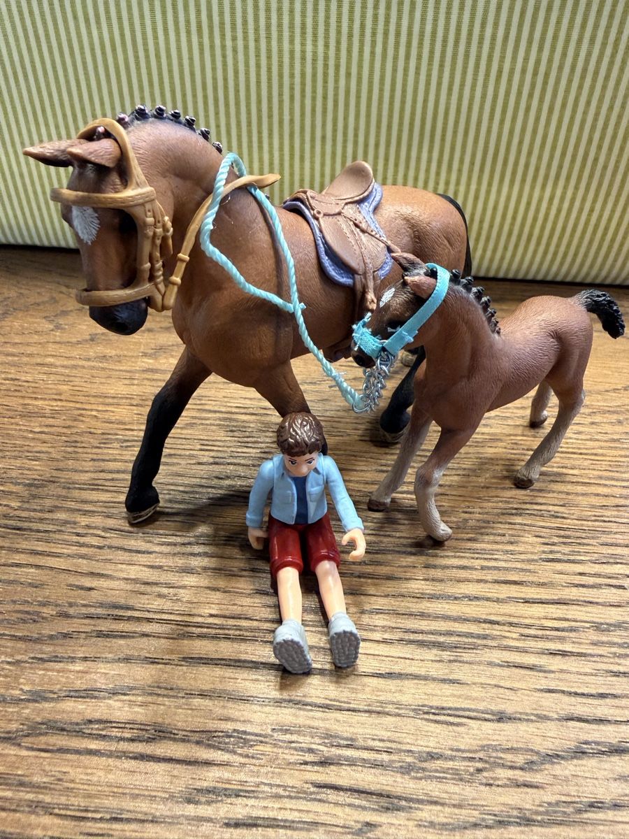 Schleich Jouets: Schleich Pferd mit Junge und Fohlen  – D'occasion à Auw par grisu81 1