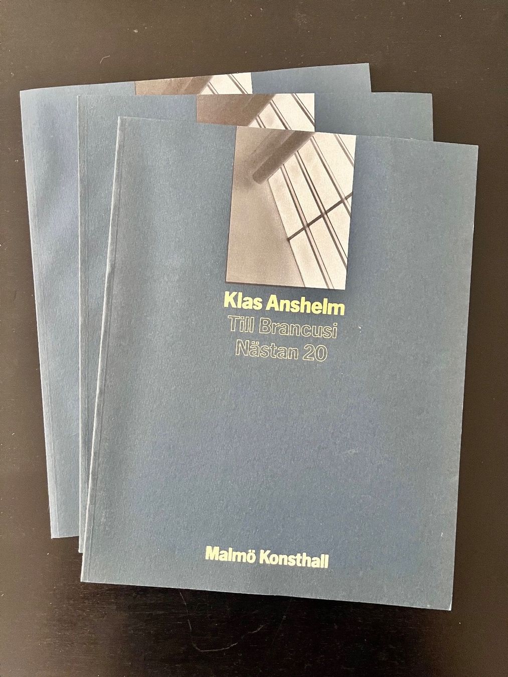 Libri: Klas Anshelm. + Till Brancusi Malmö Konsthall – Usato da Basel venduto da daw_kd8z