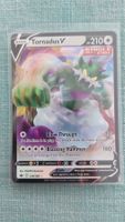 Tornadus V Chilling Reign