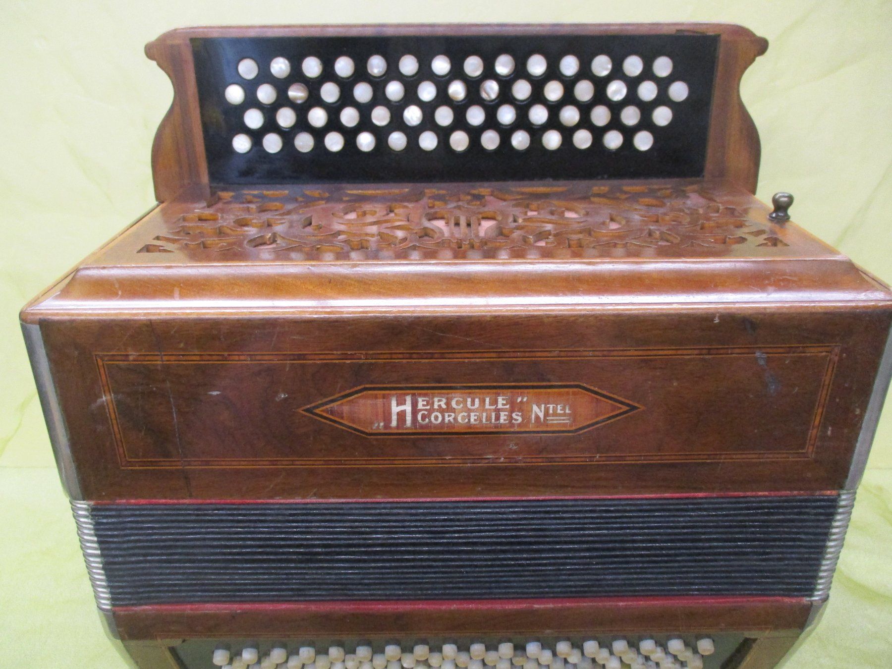 Strumenti musicali: Akkordeon Hercule – Usato da Jegenstorf venduto da Oktavio 1
