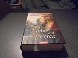 Zwischen Liebe und Verrat, Iny Lorentz