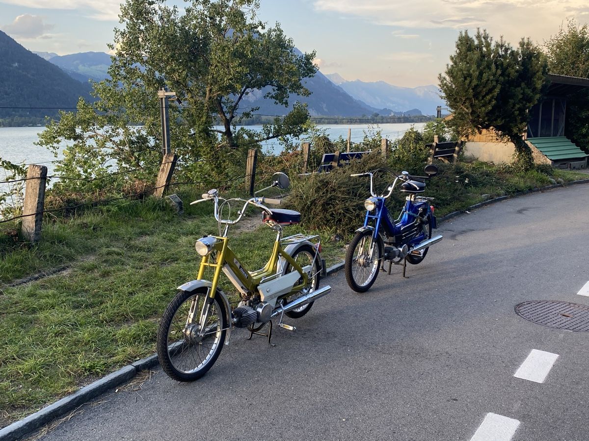 Puch Ciclomotori: Puch Maxi N – Usato da Gwatt (Thun) venduto da omega87 3
