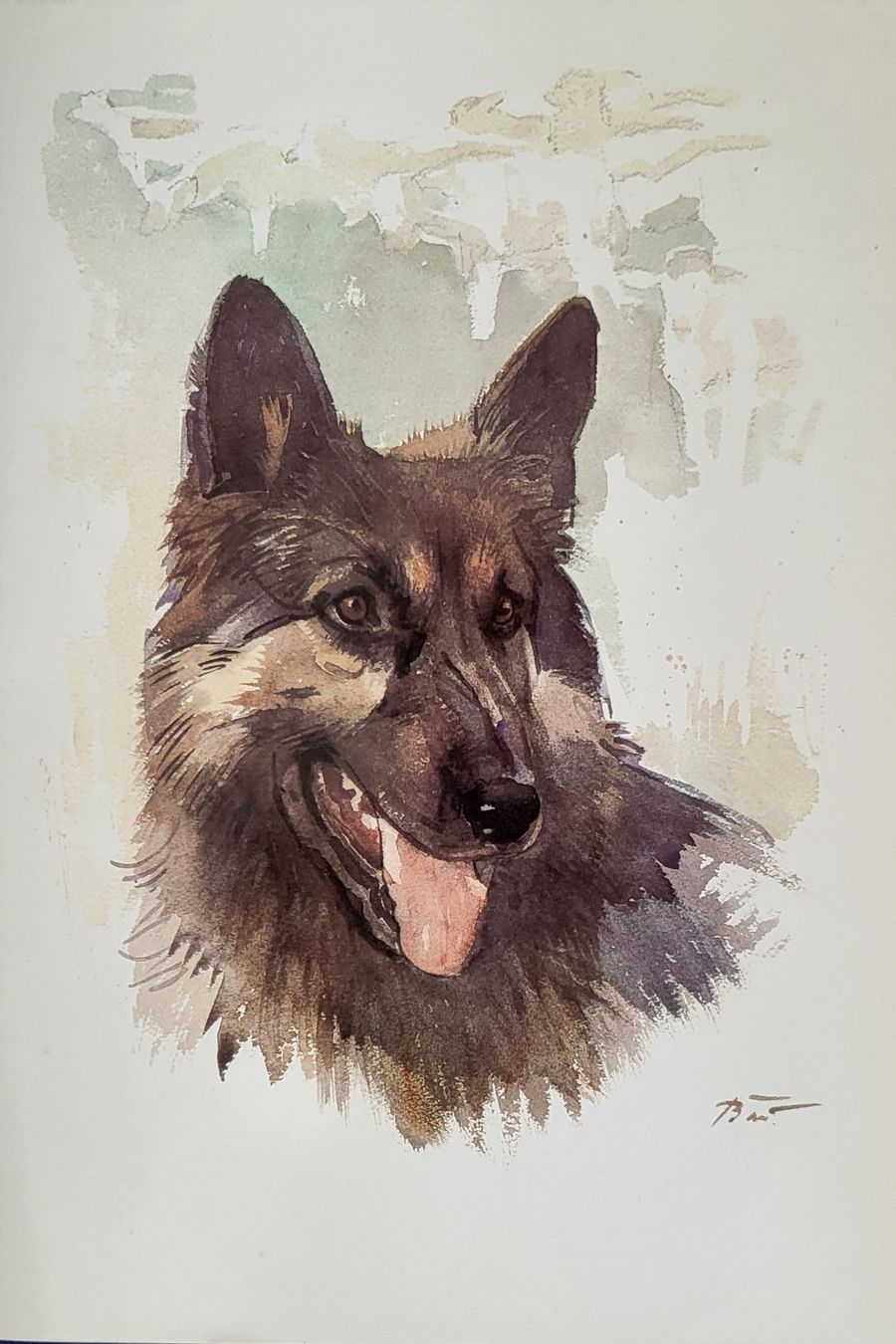 Libri: Unsere Hunde, Silvabuch – Usato da Adlikon b.Regensdf venduto da YvZi 1