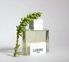 LOEWE Solo Origami   🌿rare