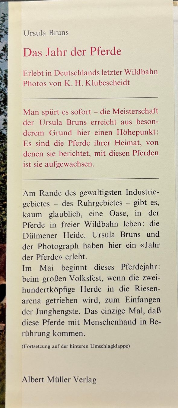 Libri: Ursula Bruns, Das Jahr der Pferde – Nuovo (secondo la descrizione) da Sarnen venduto da Livres 2