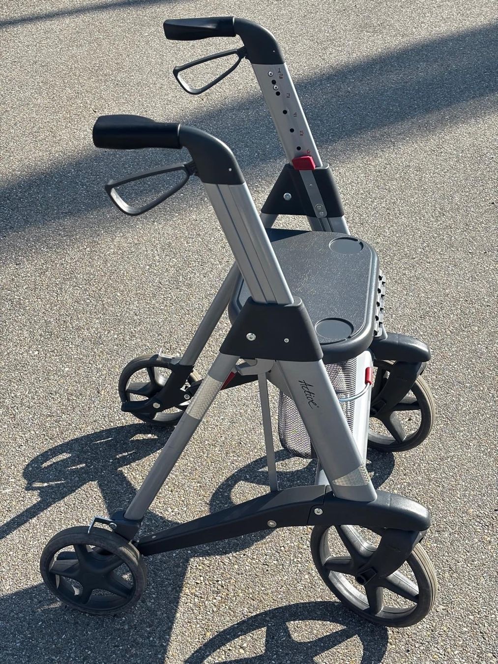 Ausili per la deambulazione: Rollator Active Walker Acces – Usato da Guntershausen b. Aadorf venduto da yvo_dx2z 1