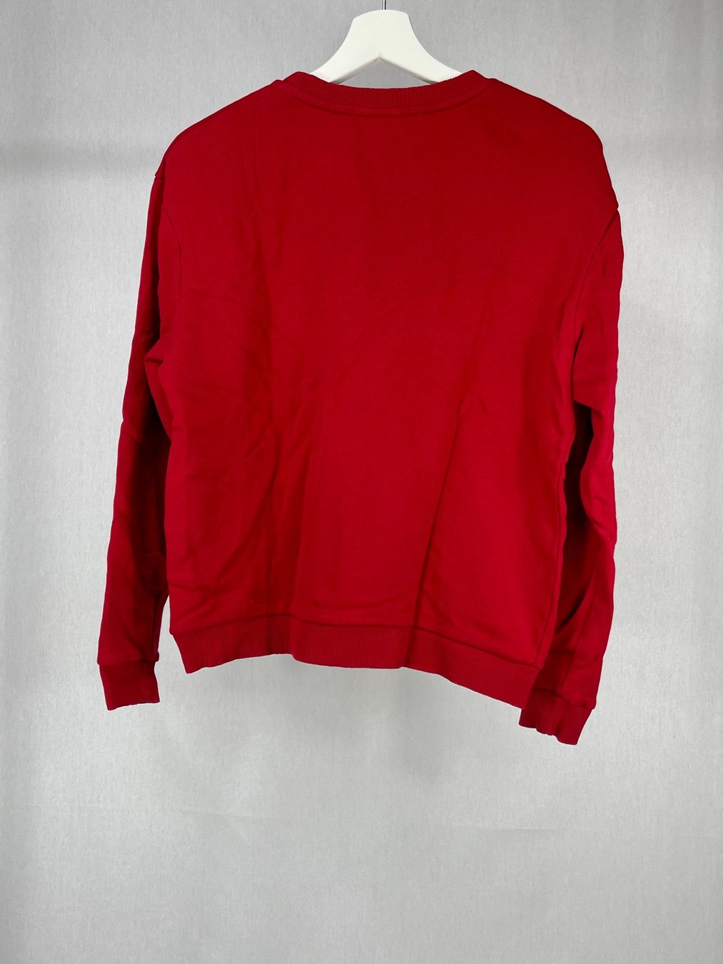Maglioni & Felpe: Hoodie - Pullover - Sweatshirt – Nuovo (secondo la descrizione) da Romanshorn venduto da MAFLOMAS 1