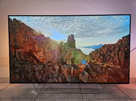 Philips OLED TV mit Ambilight 55Zoll