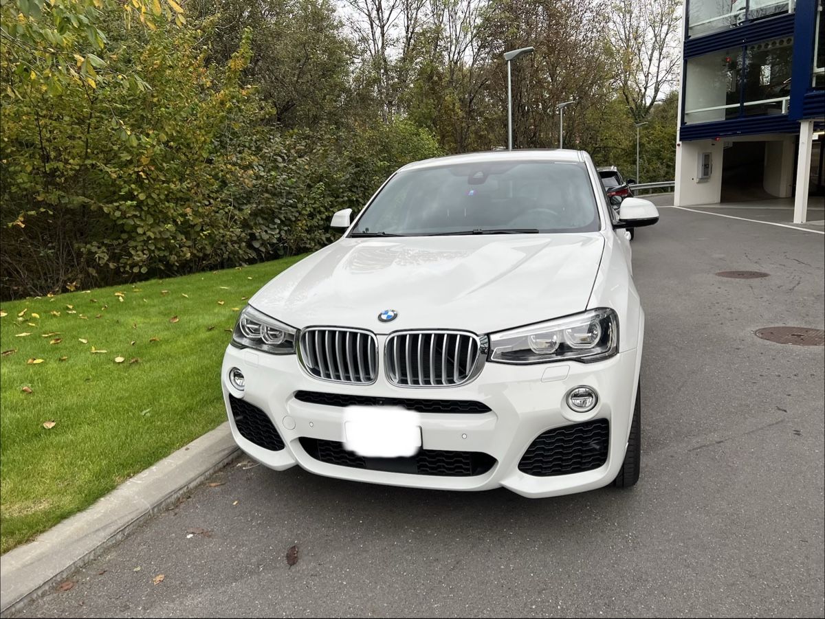 BMW Tutti pezzi di ricambio auto: Calandre original BMW X4 F26 – Usato da Clarens venduto da Bruninho55 5