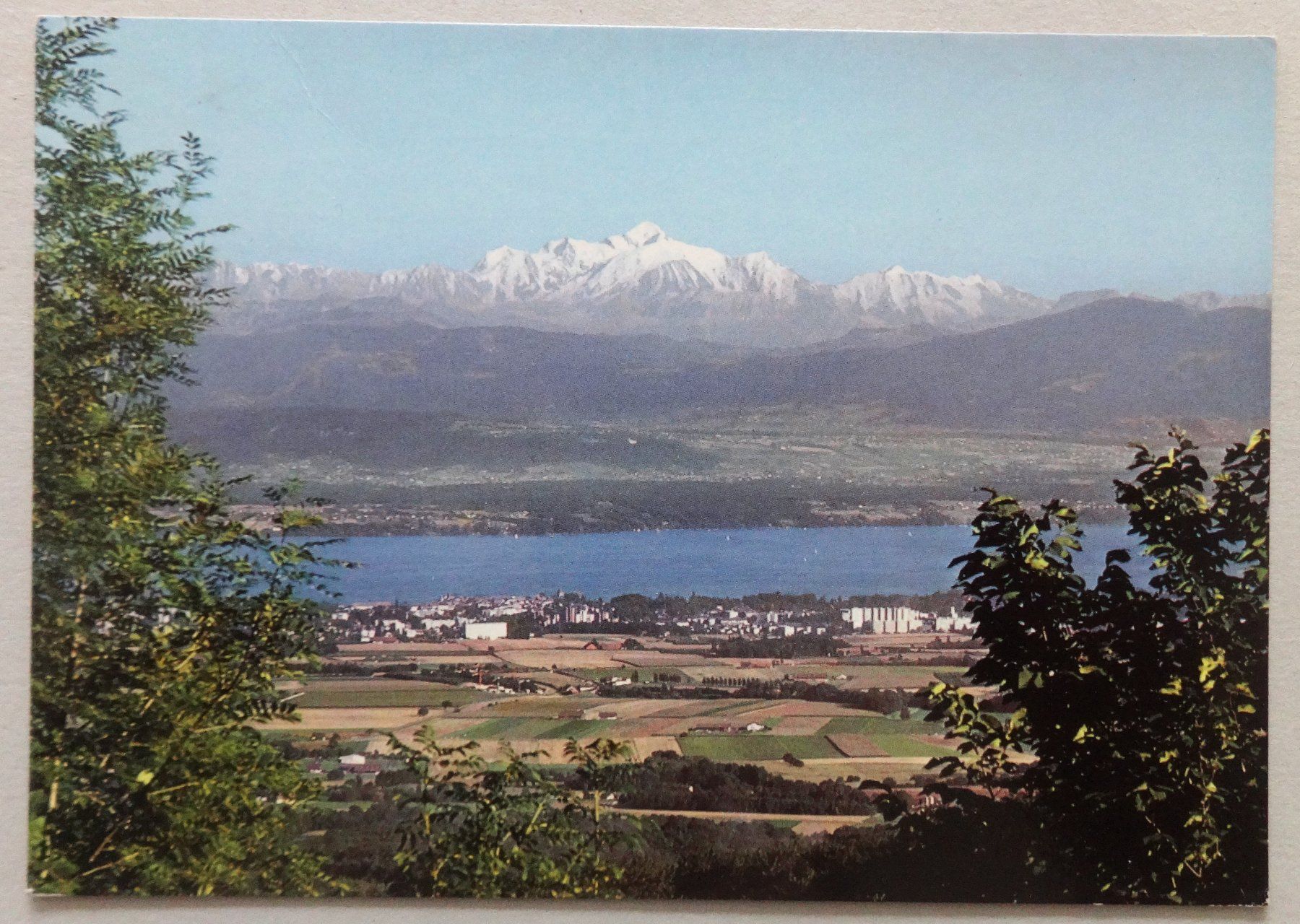Cartoline postali: Nyon et le Mont-Blanc – Usato da Fétigny venduto da Billy2miny