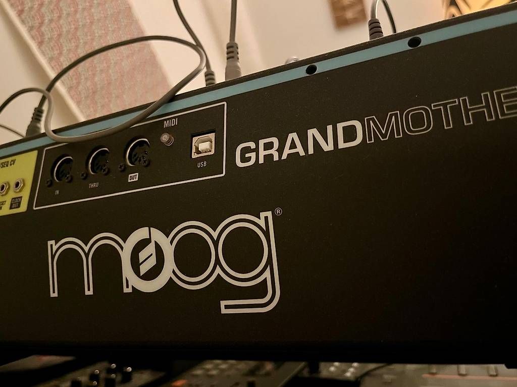 Moog Strumenti musicali: Moog Grandmother almost new – Nuovo (secondo la descrizione) da Zürich venduto da LeoGd 1