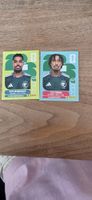 Panini Jehad Thikri Salem Al-Dawsari KSA6 KSA16