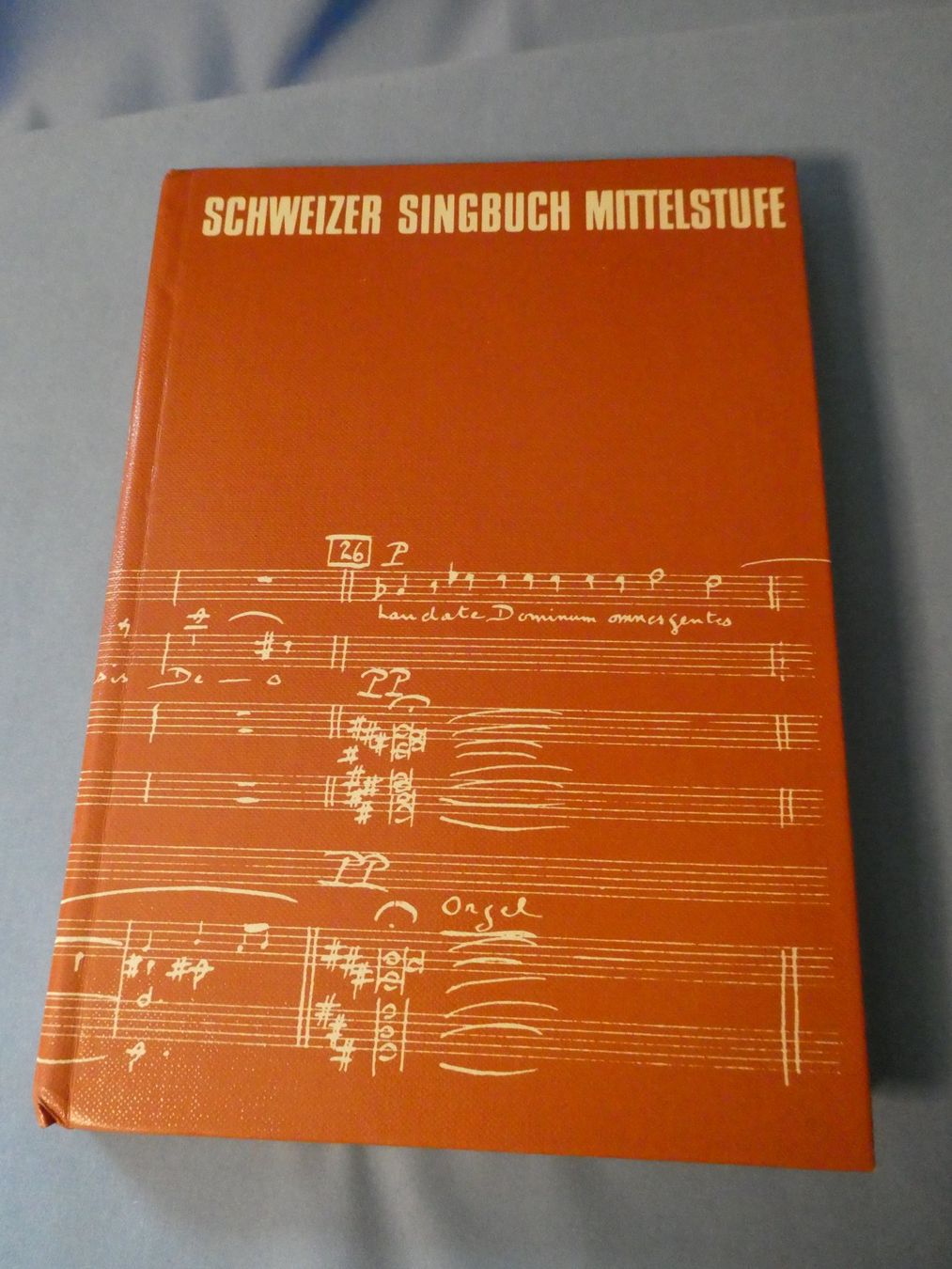 Libri: Schweizer Singbuch Mittelstufe – Usato da Tann venduto da Charly65