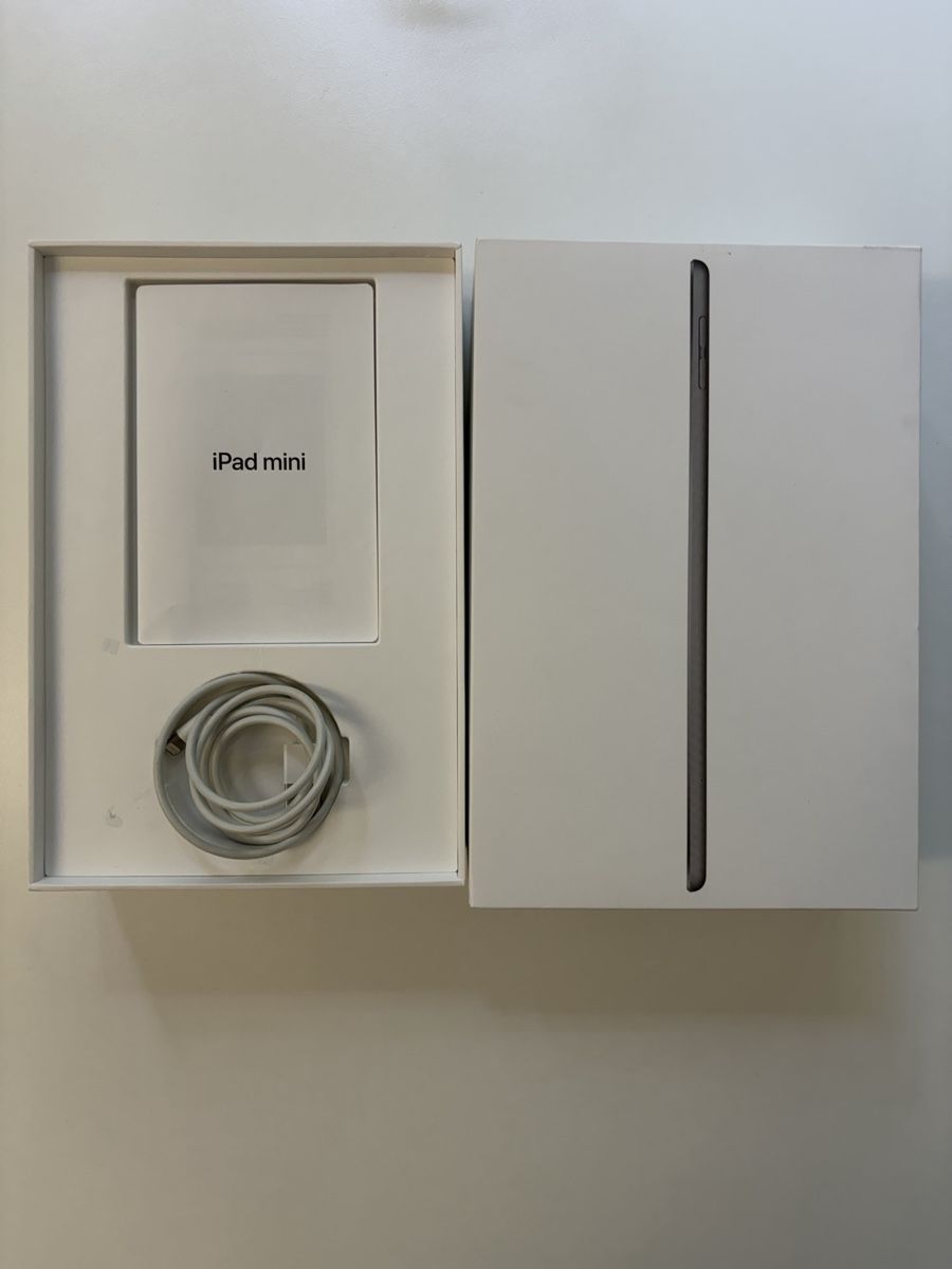 Apple Tablet PC: iPad Mini 5 256GB WiFi & Cellular Space Grey – Usato da Zürich venduto da dan_dy2z 3