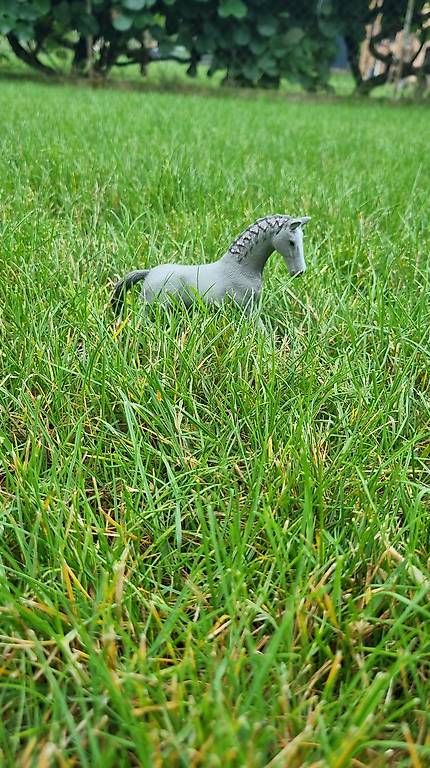 Giocattoli: Cheval Schleich  – Usato da St-Sulpice VD venduto da rog_c28g 1