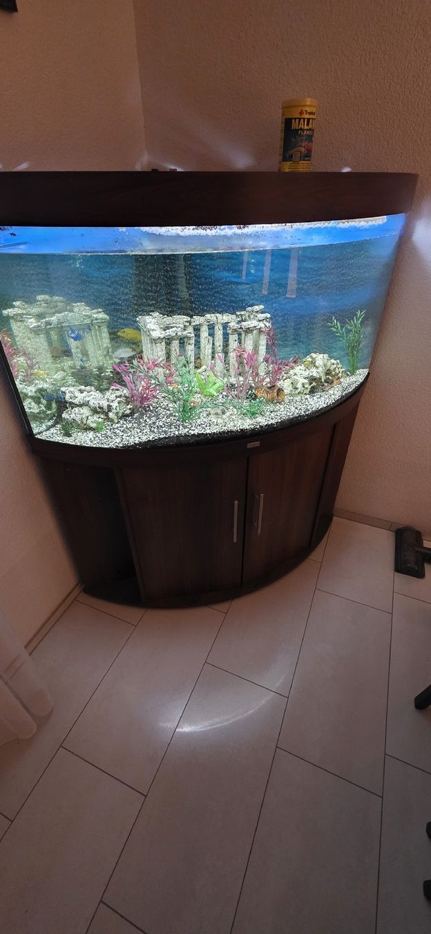 Aquarium: Aquarium Juwel Trigon 350 – Gebraucht aus Veltheim AG von xiki90