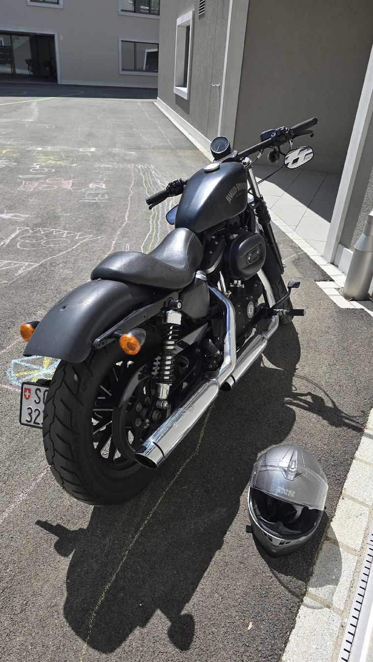 Harley-Davidson Chopper: Harley-Davidson Sportster 883 Iron N – Usato da Schwarzenbach SG venduto da jas_5sms 2