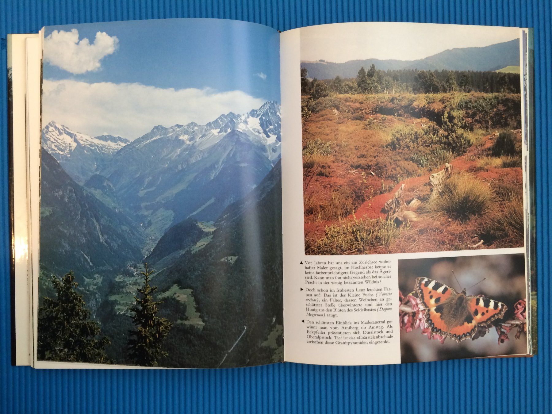 Libri: Natur-Wunder Schweiz – Usato da Wattwil venduto da Baschi77 5