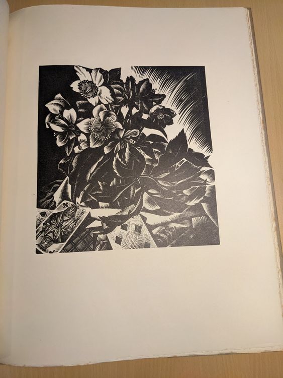 ALDO PATOCCHI 11 NATUREMORTE IN XILOGRAFIA Kaufen auf Ricardo