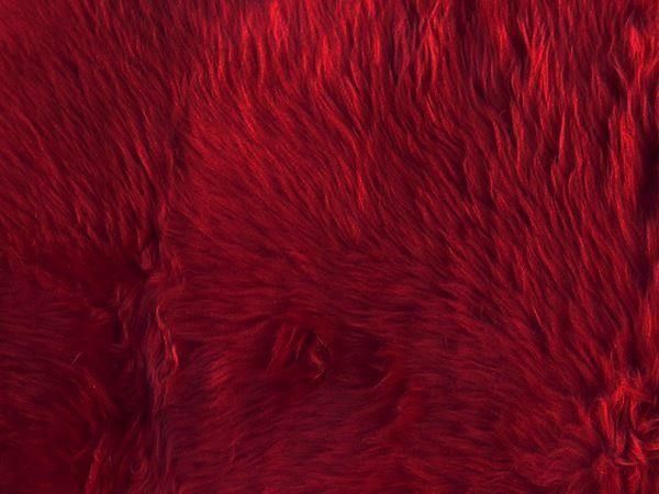 Tappeti: Lammfell Teppich Red – Nuovo e nell'imballaggio originale da Arbedo venduto da patagonialeatherrugs 2