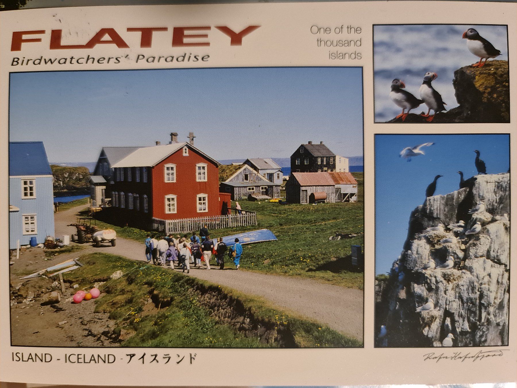 Cartoline postali: Ansichtskarte Flatey Island 2015 – Usato da Dintikon venduto da Vexi