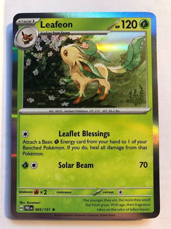 Leafeon (rare) 5/131 - Prismatic Evolution - MINT - ab 1.- (Gebraucht ...