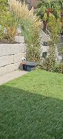 GARDENA SILENO minimo Mähroboter Bluetooth