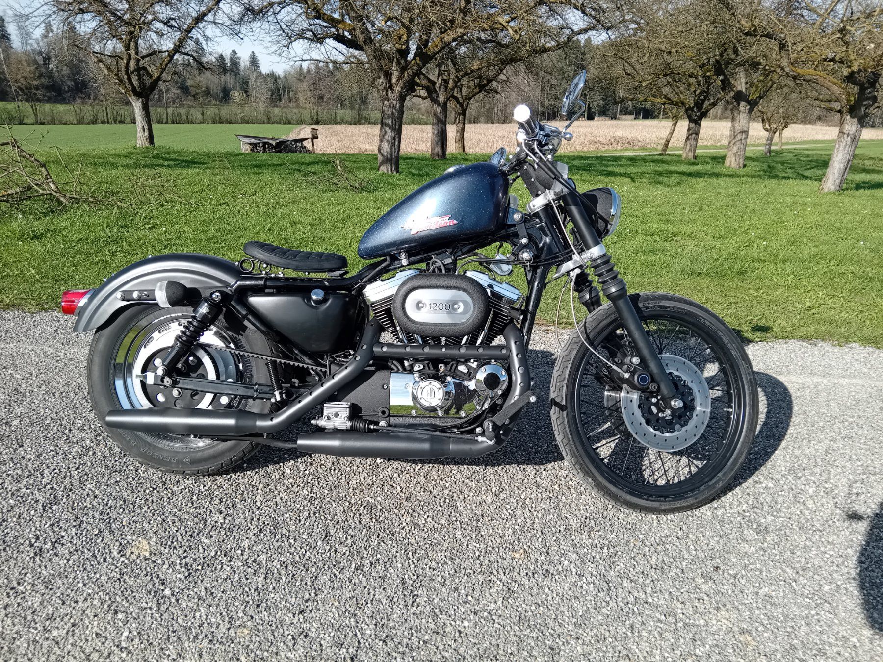 Chopper: Harley Davidson Sportster XL1200C – Usato da Langrickenbach venduto da matchless666