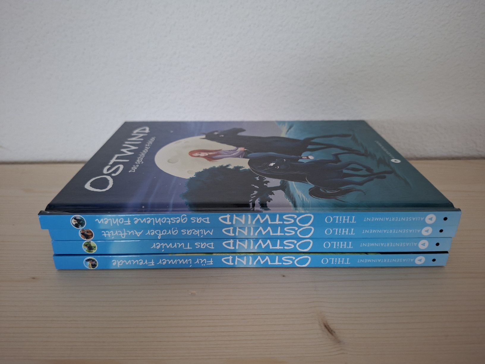 Libri: Ostwind Bücher 4 Stk. Erstlesebücher – Usato da Schwarzhäusern venduto da Belinda135 2