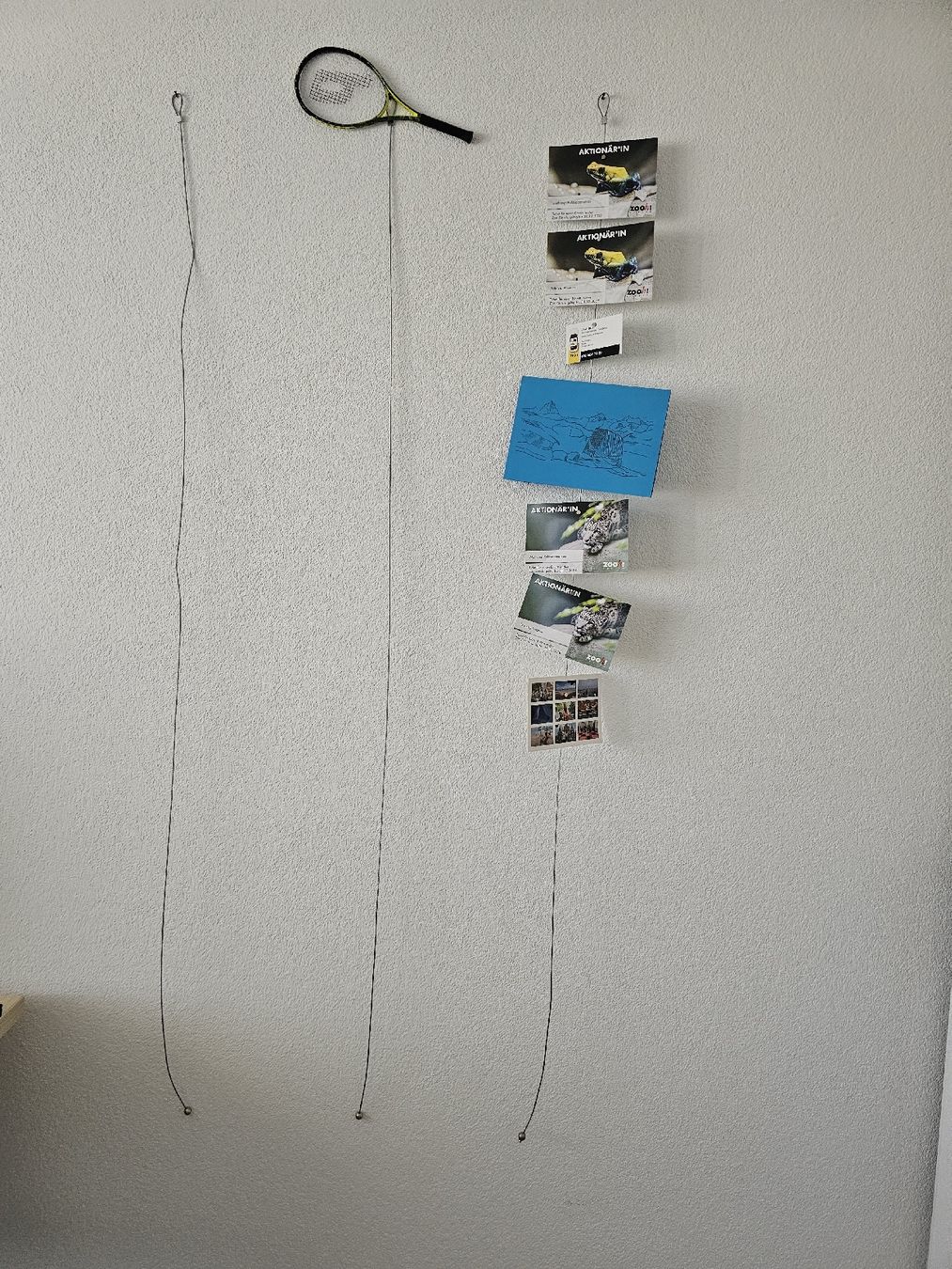Tutte le decorazioni: 3x Fotomagnetseile 150cm – Usato da Birmensdorf ZH venduto da LucaToni02