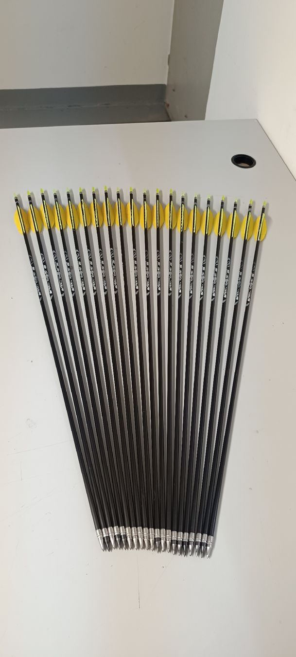 Tiro con l'arco: Carbon Pfeile – Usato da Rothrist venduto da Pfadfinder03