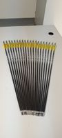 Carbon Pfeile