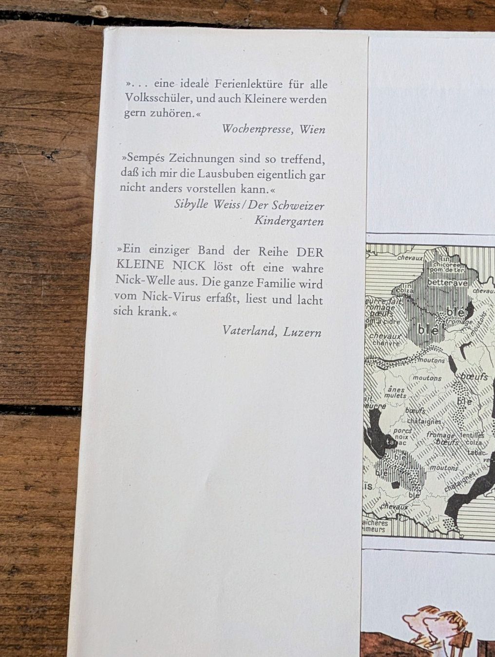 Libri: Der kleine Nick und die Ferien – Usato da Nänikon venduto da Haexli_70 1