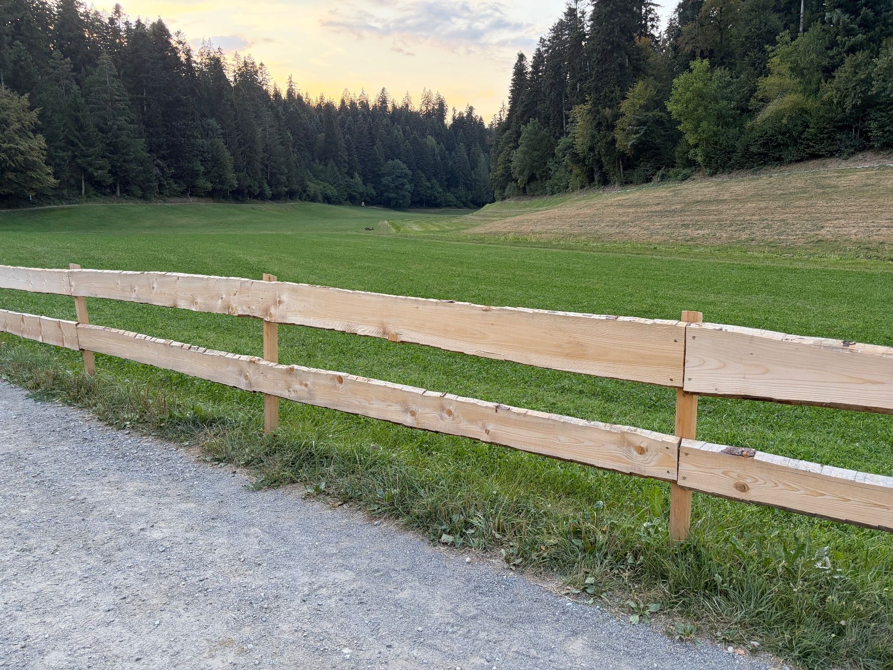 Holzartikel: Zaun mit Holz-Schwarten – Gebraucht aus Steffisburg von Peter240