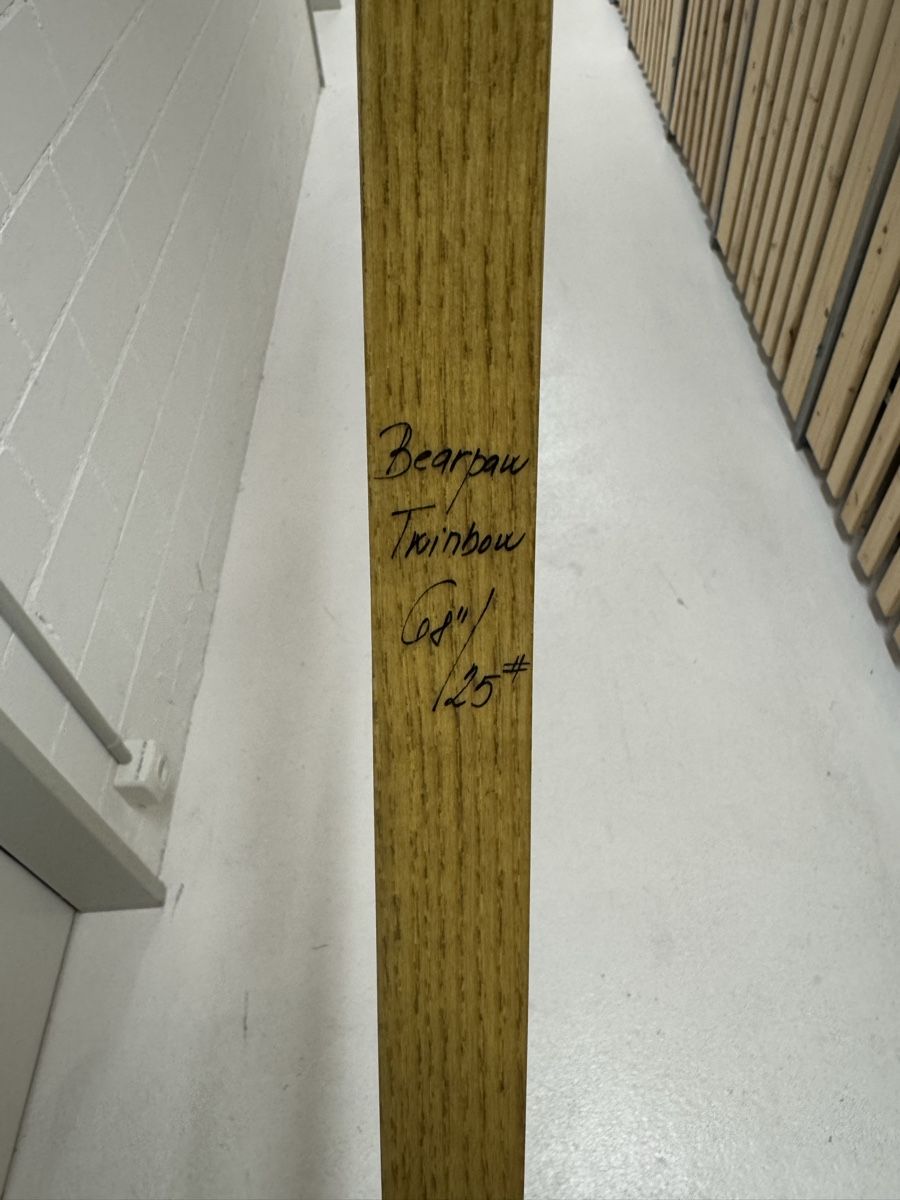 Tiro con l'arco: Bearpaw 25 Pfund Langbogen – Usato da Winterthur venduto da mau_l65p 3