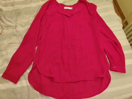 Bluse rot