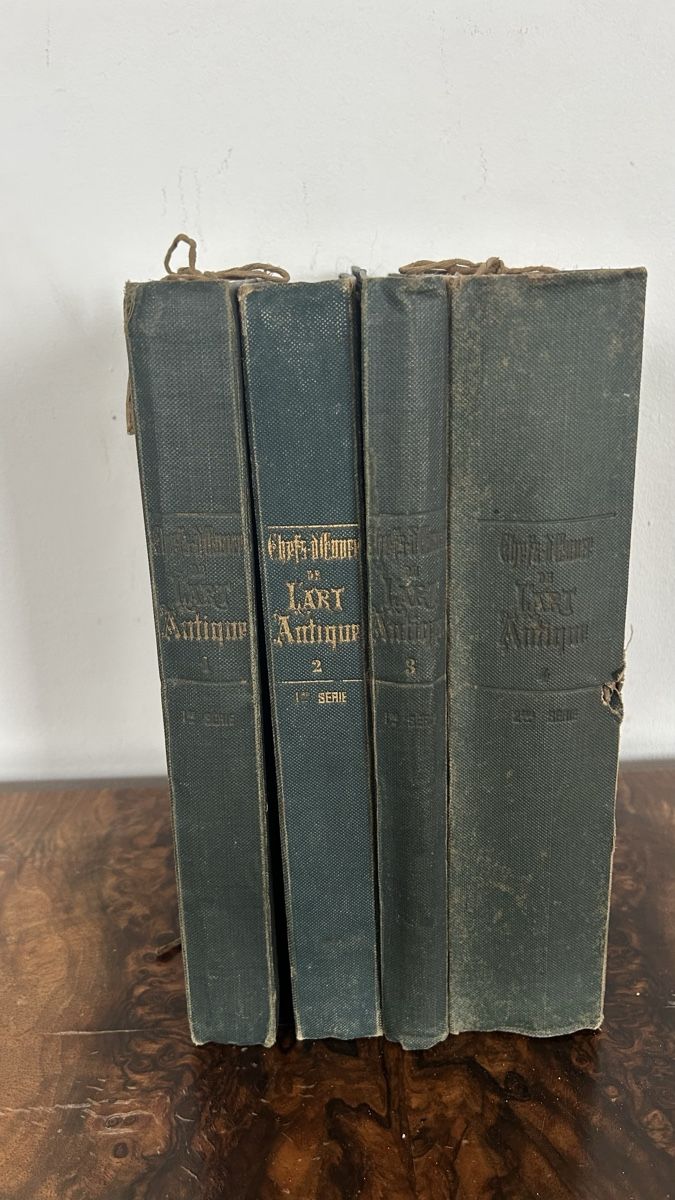 Libri: Antike Kunstbücher, 1867 – Usato da Riedholz venduto da Frettchen63