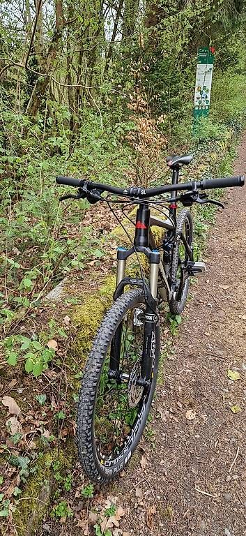 Vélos: Canion nerve 120 – D'occasion à Aeschau par Marc311994 1