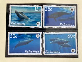 Bahamas 2007 Satz WWF Blainville-Schnabelwal postfrisch