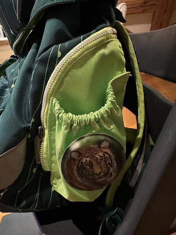 Borse & Zaini: Ergobag Schulrucksack – Usato da Hünenberg See venduto da Maestro80 1