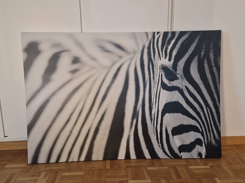 Posters & Illustrations: Ikea-Bild Zebra – D'occasion à Bern par soepf
