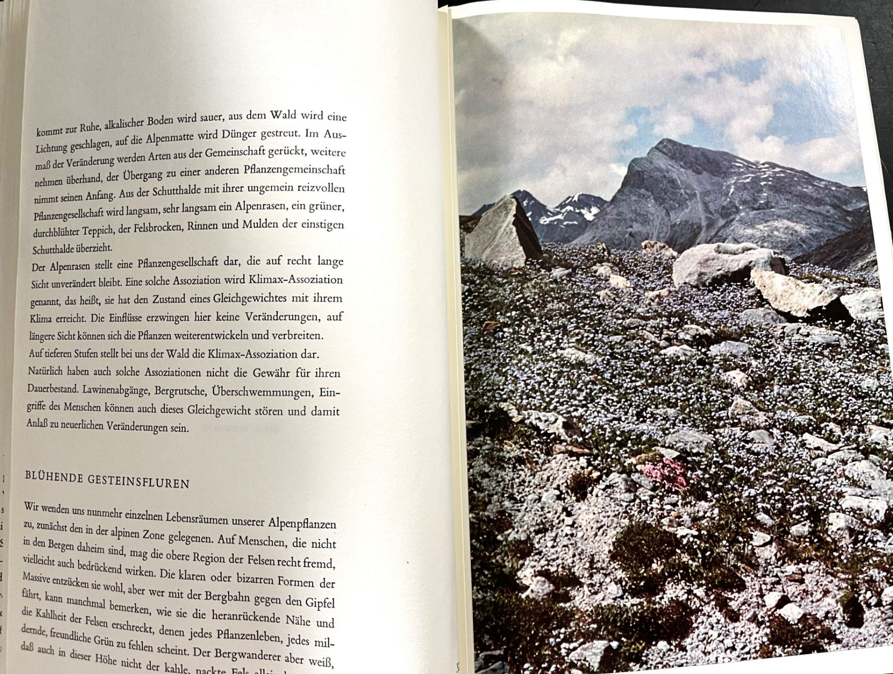 Libri: Silva Verlag, Alpenblumen, 1969 – Usato da Oftringen venduto da Vucki 5