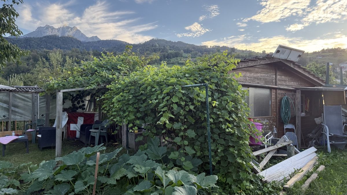 Gartenhäuser & Gewächshäuser: Schrebergärtlihaus – Gebraucht aus Root von Jana_Ma 1