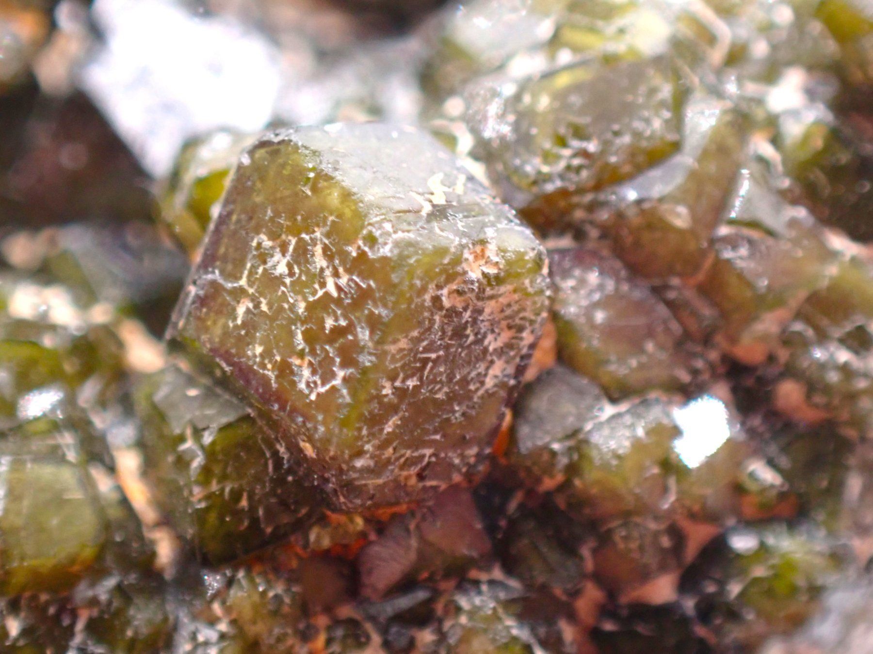 Mineralien & Heilsteine: Demantoid from Namgar Mine, Usakos, Karibib, Namibia – Gebraucht aus Figino von minshop 7